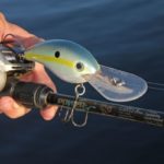 Hefty crankbaits like the Strike King 10XD reach bass that rarely see crankbaits.