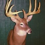 For more than seven decades, the Broadway Buck, killed in 1943 by Don Broadway in Madison Parish, has ranked as Louisiana’s No. 1 typical buck.