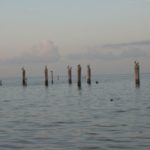 The speckled trout were a no-show at Iron Banks. Capt. Chris Danos said lack of boats there generally means lack of fish.