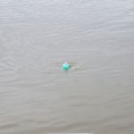 A jug being pulled underwater and moving rapidly signals that a big fish is on the line.