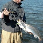 Capt. Adam Jaynes will often use plastic tail lures like this Egret Baits’ 5-inch limeaid Wedgetail Mullet before casting suspending plugs and topwaters to initially locate specks.