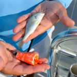 Carter exclusively uses scoop-faced, rattling corks for trout fishing.