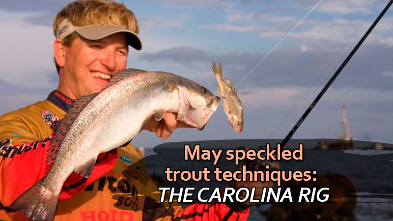 Capt. Craig Matherne and Capt. Charlie Thomason have been using the Carolina rig as an effective way to catch a quick limit of speckled trout.