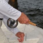 Flies are retrieved and given action not by line retrieval with the reel, but by vigorously pulling in strokes of line by hand. This is called “Stripping.”