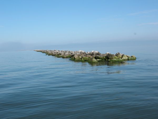 Louisiana Sportsman