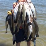 Jared Pennison landed this awesome stringer of speckled trout using topwater lures and suspending jerkbaits a couple of weeks ago on Elmer's Island.