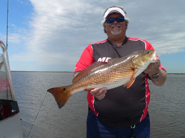 When a decent-sized redfish smashes your topwater, you’ve got a whole lotta fun on the end of your line.