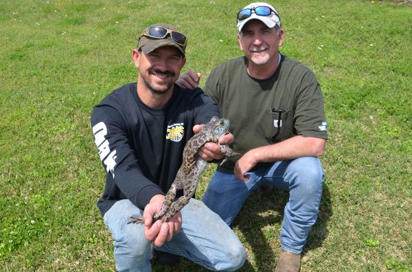 Corey Naquin (holding frog) and Danny Hardy pose with a blue bullfrog they and Naquin’s sons, Gavin and Gage, caught in March.