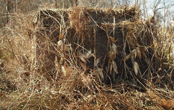 How to brush a duck blind