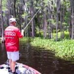 It’s smart to target trees with clumps of hyacinth mats around them. This adds more shade and protection for the bass.