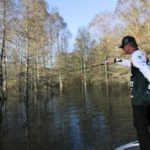 Pitching to trees lining a small creek is the recipe for bent rods.