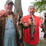 Sonny and Ron Manning show a couple of nice catfish taken on catalpa worms like the ones in Ron’s hand.