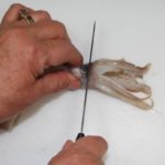 2) Cut the tentacles from the head immediately in front of the eyes and discard the head.