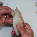 6) Using your fingers, remove the fins from the tube and set them aside.