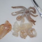 8) The parts of the squid ready to eat are the tentacles, fins, and tube rings.