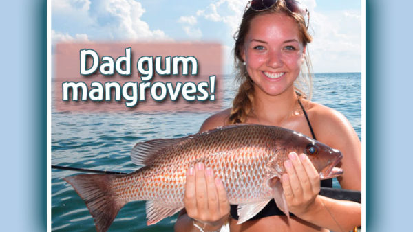 Dad gum mangroves!