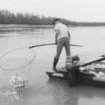 Commercial fisherman like Jamie Rusk (shown here in 1992) dip shad on river points, where the species congregates.