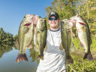 Experiencing dozens of bites in the Atchafalaya Basin is a matter of knowing how to approach the sprawling swamp.