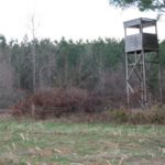 Hunters should place their deer stands in areas where visibility is good, while keeping in mind that over time the view will change as the timber grows.
