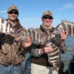 They’re spawning and ganged-up around the shallow rigs — like (BIG) bream on a bed!