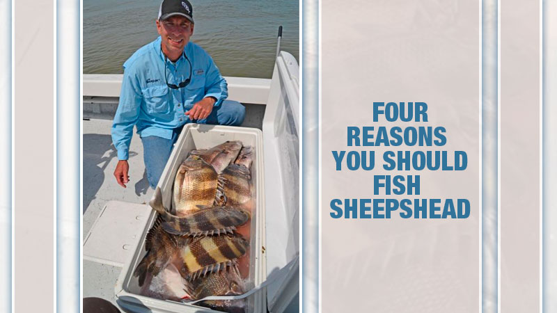 Kerry Audibert explains why you should make the long run from Shell Beach to Breton Sound to catch sheepshead, bull reds, and black drum.