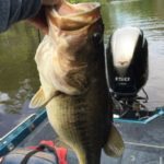 Austin Legendre took this picture of the almost 8-pound bass he caught near Grass Lake Sunday afternoon in the Sunshine Bass Club's tournament.