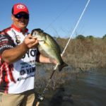 Housen Bay has plenty of protected coves for bass to get in and spawn.