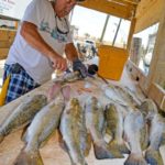 At the marina’s fish-cleaning station, Richoux demonstrated his fish cleaning skills as the “Slimeslinger.”