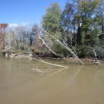 When waters turn muddy, anglers are faced with a mix of challenge and opportunity.