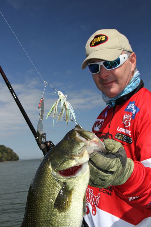 Because bass typically slash at fast-moving spinnerbaits, adding a trailer hook is essential.