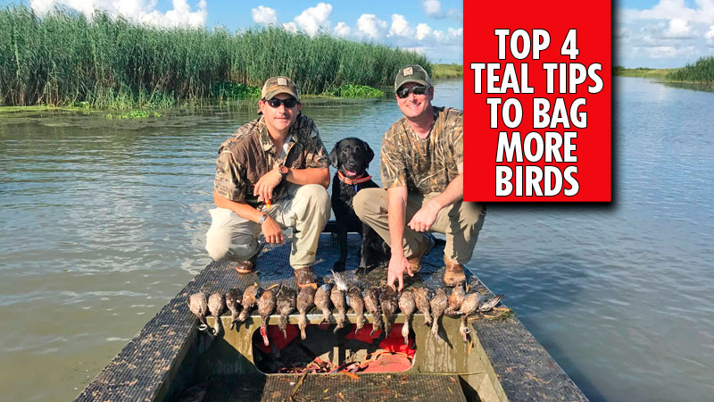 Capt. Cody Obiol has guided teal hunts with Cajun Fishing Adventures for years, and shared his Top 3 tips to help you knock down more birds.