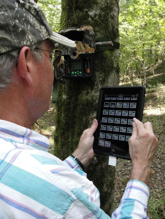 An iPad allows the author to check trail cam pictures and make real-time decisions on camera locations.
