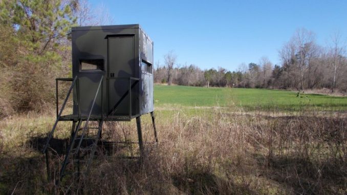 Points to consider when buying deer hunting property