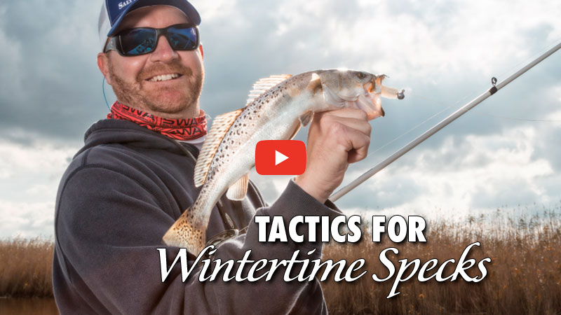 Watch this video to learn how to catch cold weather speckled trout, when fish stack up and move into deeper holes to find warmer water.