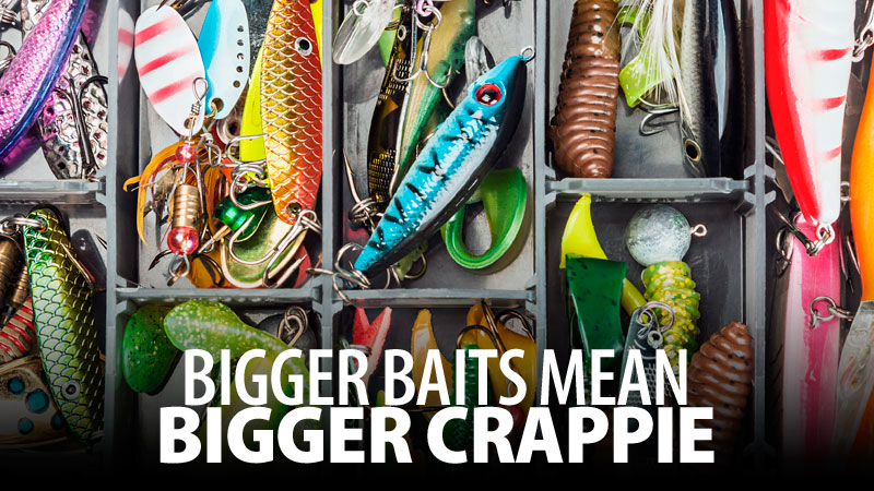Crappie pro Tom Sprouse knows big baits mean big crappie. He upsizes his offerings to catch more slabs in February.