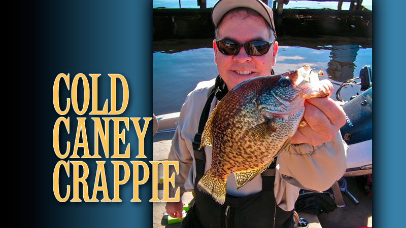 Caney Lake grass beds return and foster hordes of big black crappie. And angler Jeff Glover tells you how to catch your share.