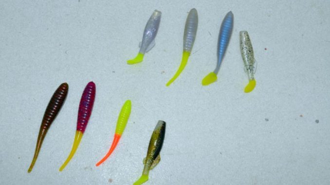 SOFT PLASTICS TROUT [how to catch trout on lures] 