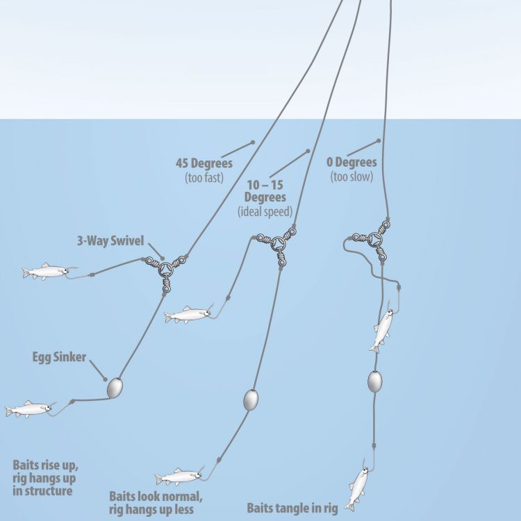 Pole and line, trolling and handline (hook and lines), trolling