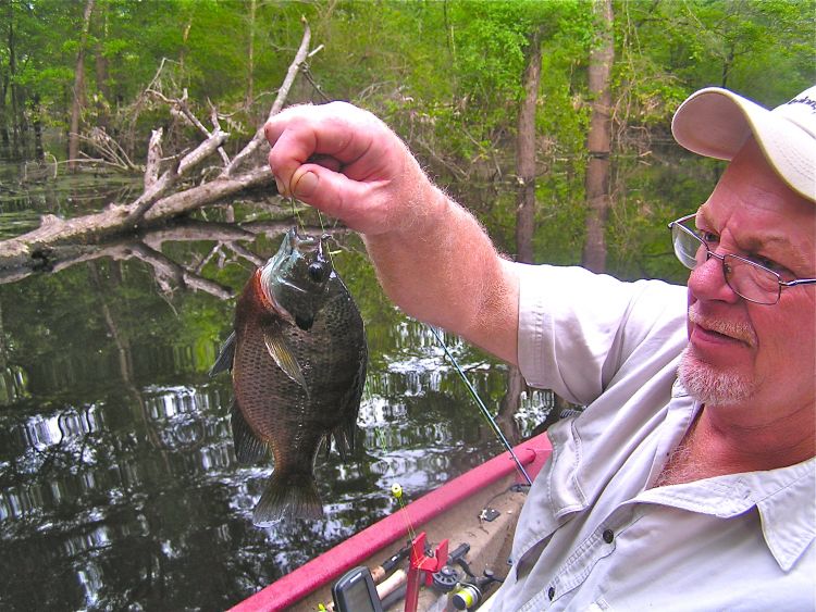  Louisiana Sportsman