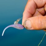 Tregle sticks a small live grass shrimp on his jig hook to entice a hit from reluctant fish.
