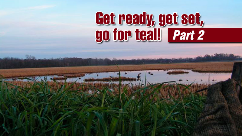 Teal hunter Hunter Simmons of Mer Rouge shares his tips to get set and go after the early birds of duck hunting.