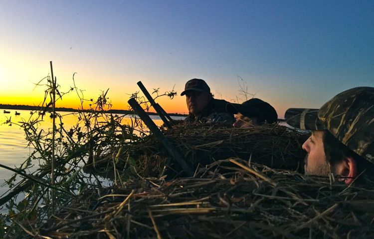 Hunter Simmons (lower right) stays alert for early morning teal in a rice field pit blind.