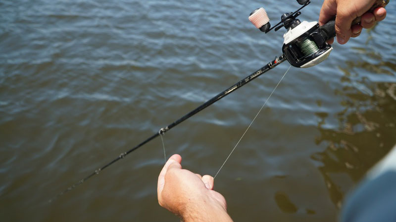 circle hooks for fishing halibut Pre-Tied Halibut Leaders for Commercial Fishermen ( 50 Leaders / Bundl