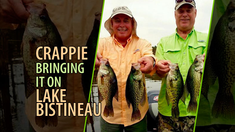 Homer Humphreys is excited to talk about February crappie fishing on Lake Bistineau. The lake is chocked full of big crappie.