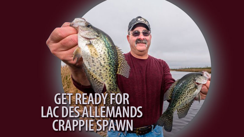 Luling angler Tim Bye said February is when it’s most likely sac-a-lait will pull onto the banks to spawn in the Lac Des Allemands area.