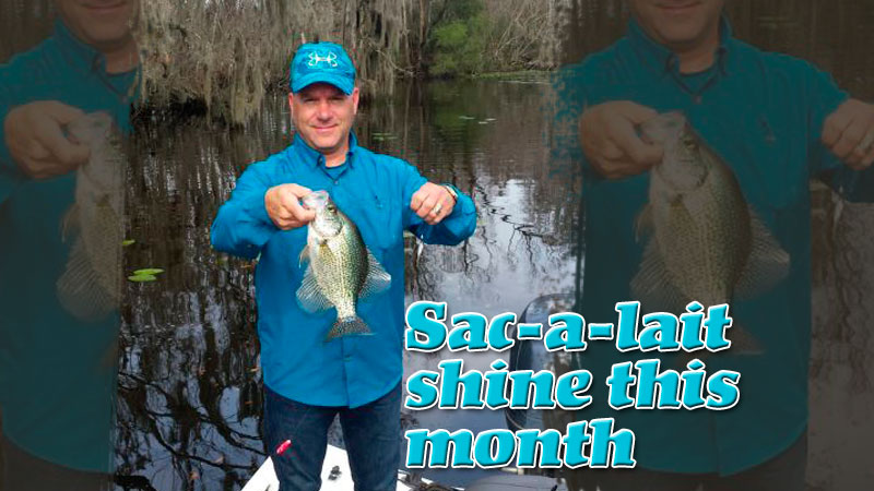 Like many other sac-a-lait fishermen, Bill McCarty is ready to make a well-placed cast, set the hook and pull in slab after slab when February rolls around in South Central Louisiana.