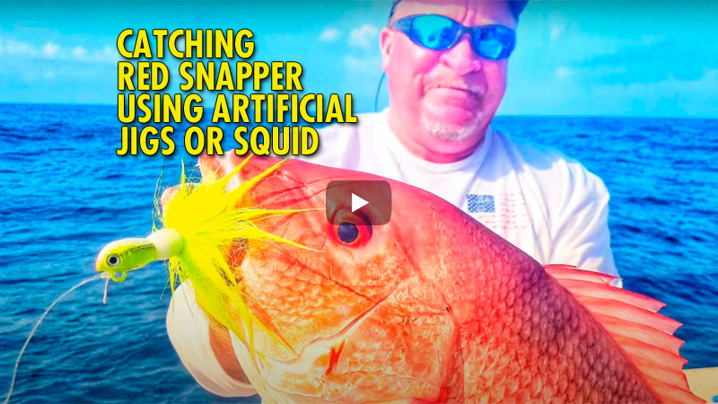 A video from a fishing trip out of Port Mansfield, Tex., showing you how to catch red snapper on artificial jigs and using squid on octopus circle hooks.