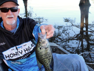 Bobby Phillips with a chunky D’Arbonne Lake crappie.