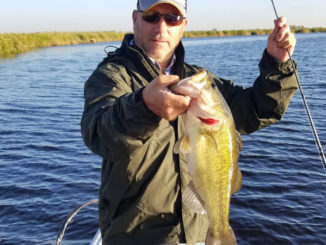 The first cool fronts create a feeding frenzy for Orange Grove bass, which are eager to put on winter weight in anticipation of the spawn.