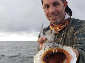 Frank Roberts said the trout transition was delayed this fall, but fish have finally moved inside.